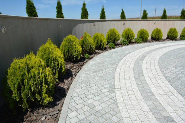 Best Driveway Paving Contractor  in Midvale, UT